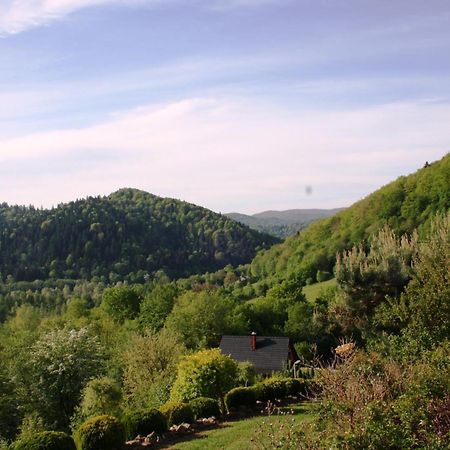 Lesny Dworek 1 Wolkowyja Exterior foto