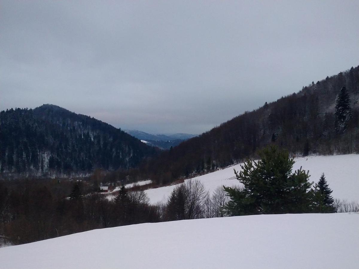 Lesny Dworek 1 Wolkowyja Exterior foto