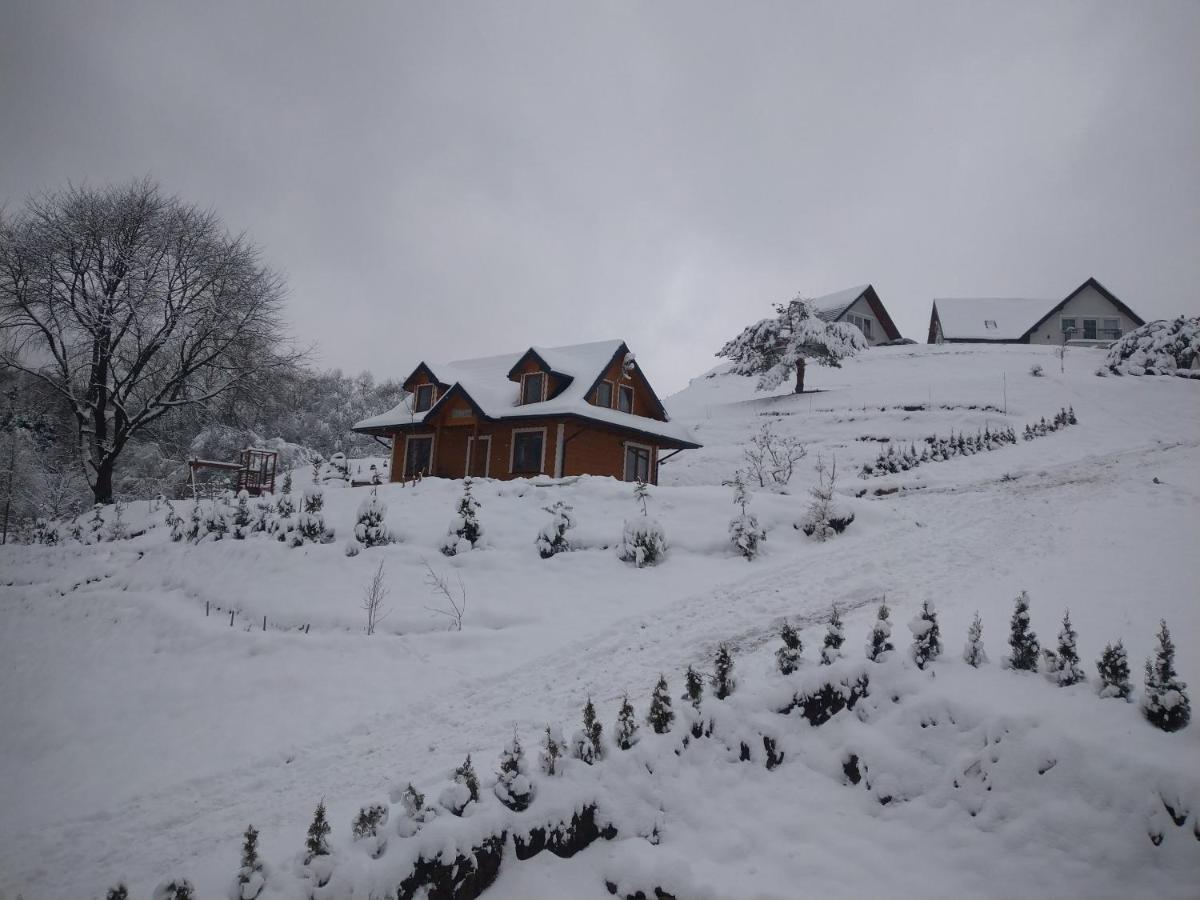 Lesny Dworek 1 Wolkowyja Exterior foto