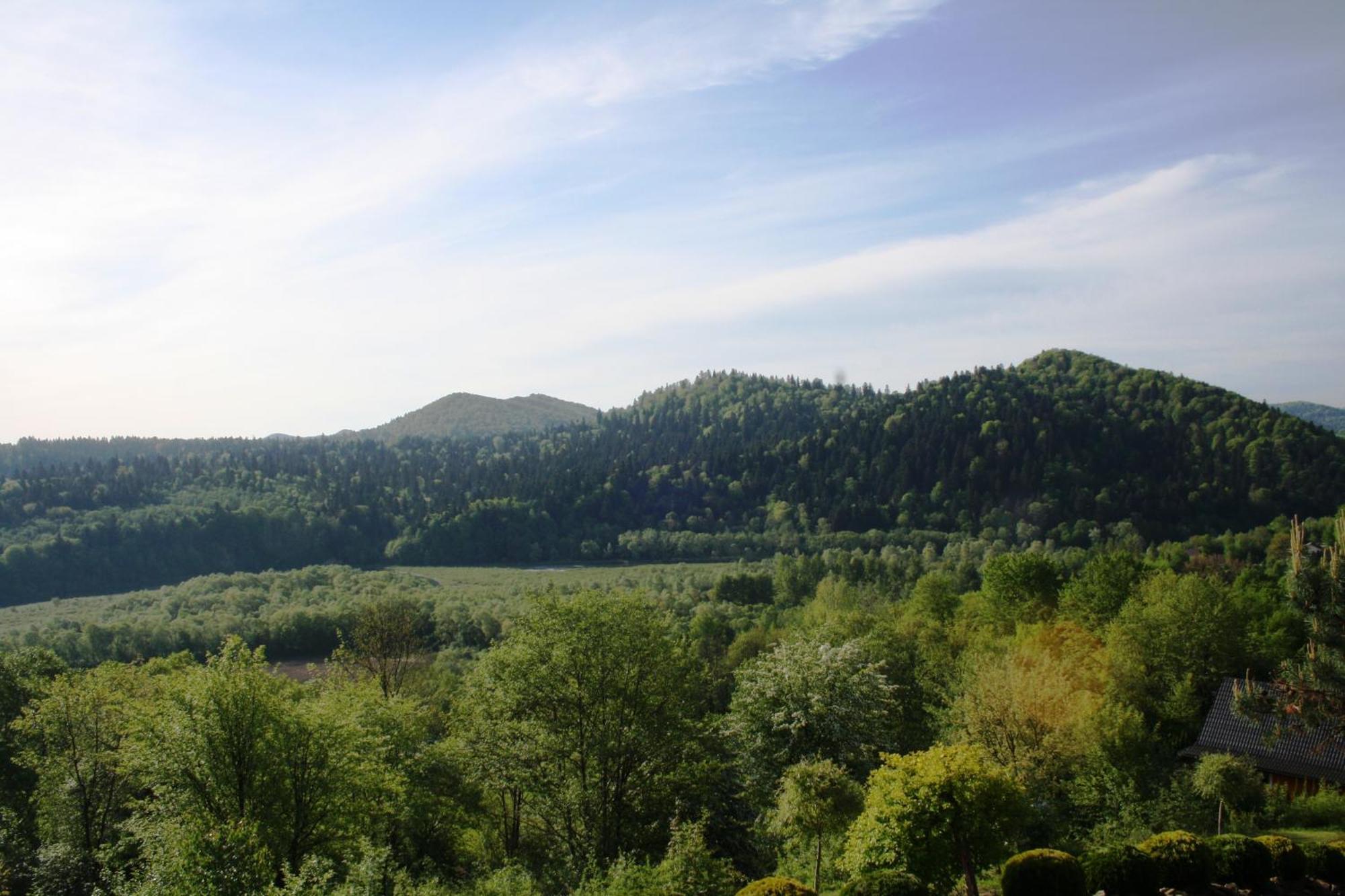 Lesny Dworek 1 Wolkowyja Exterior foto
