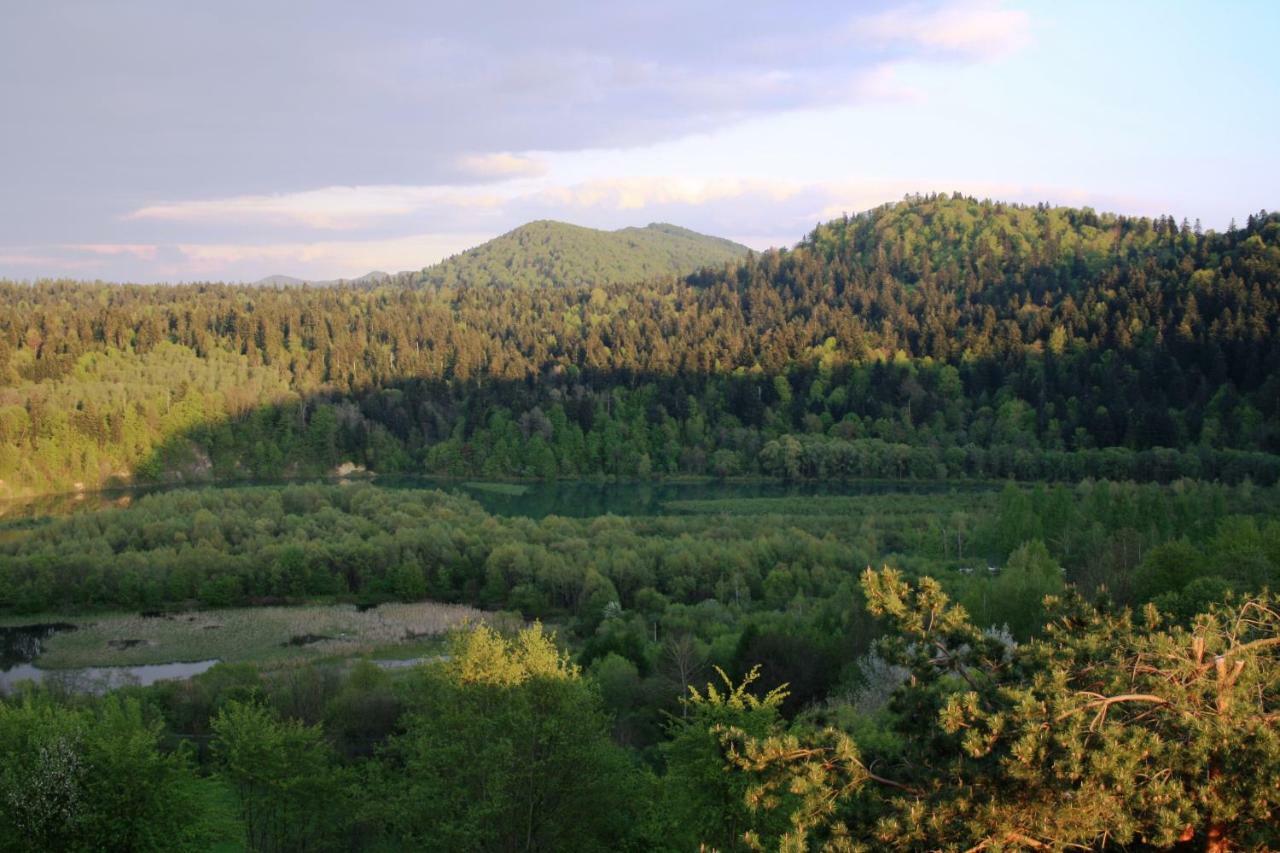Lesny Dworek 1 Wolkowyja Exterior foto