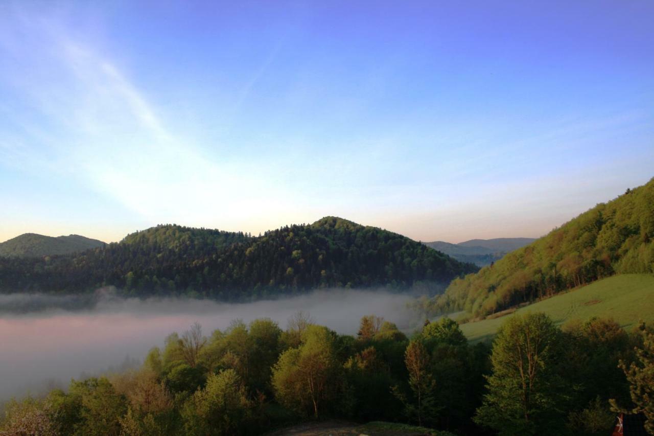 Lesny Dworek 1 Wolkowyja Exterior foto